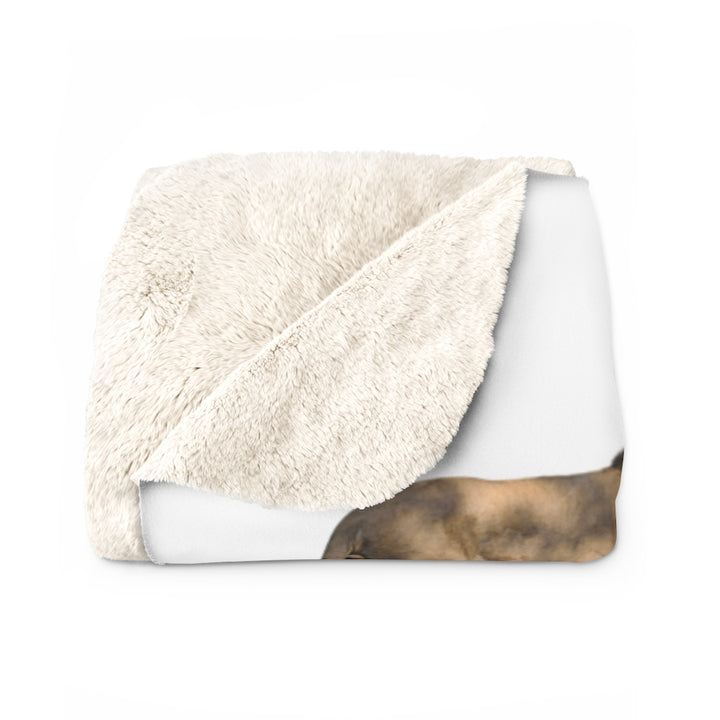 Sherpa Fleece Blanket