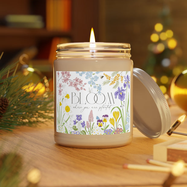 Scented Candles, 9oz