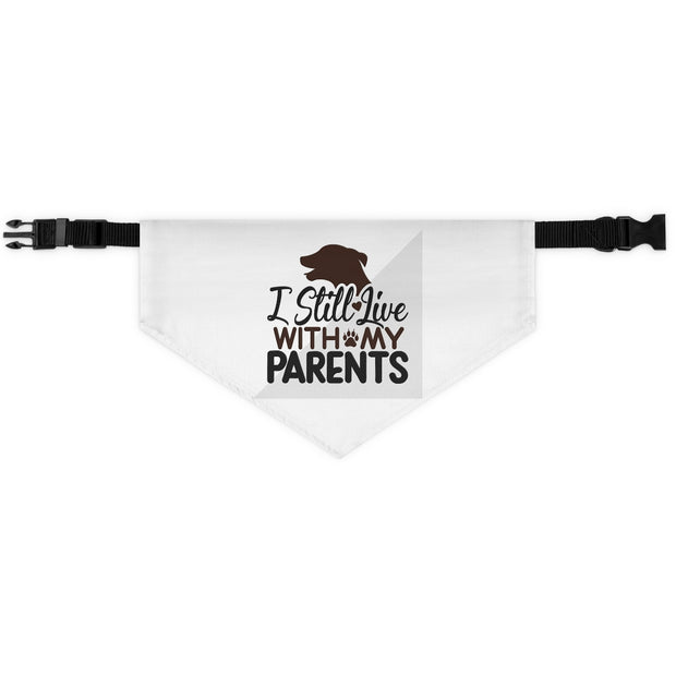 Pet Bandana Collar