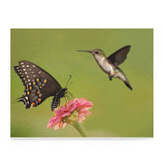 Puzzle (120, 252, 500-Piece)