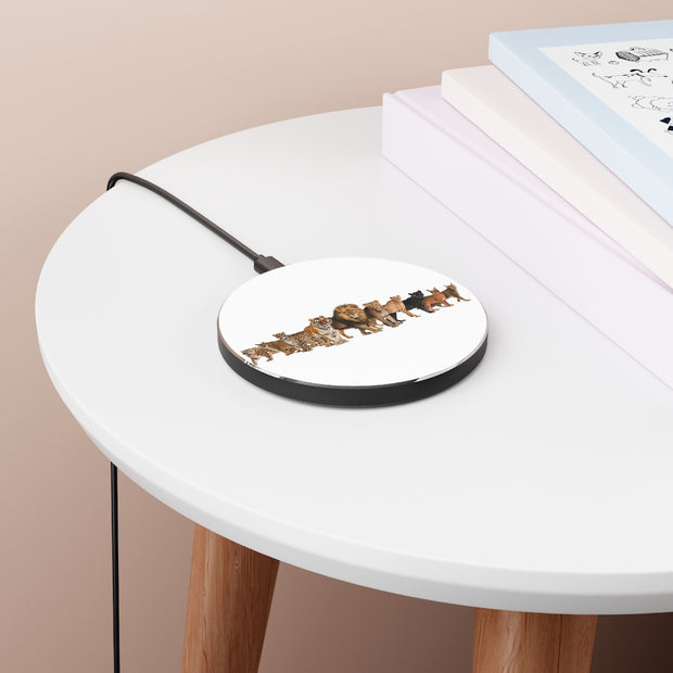 Wireless Charger
