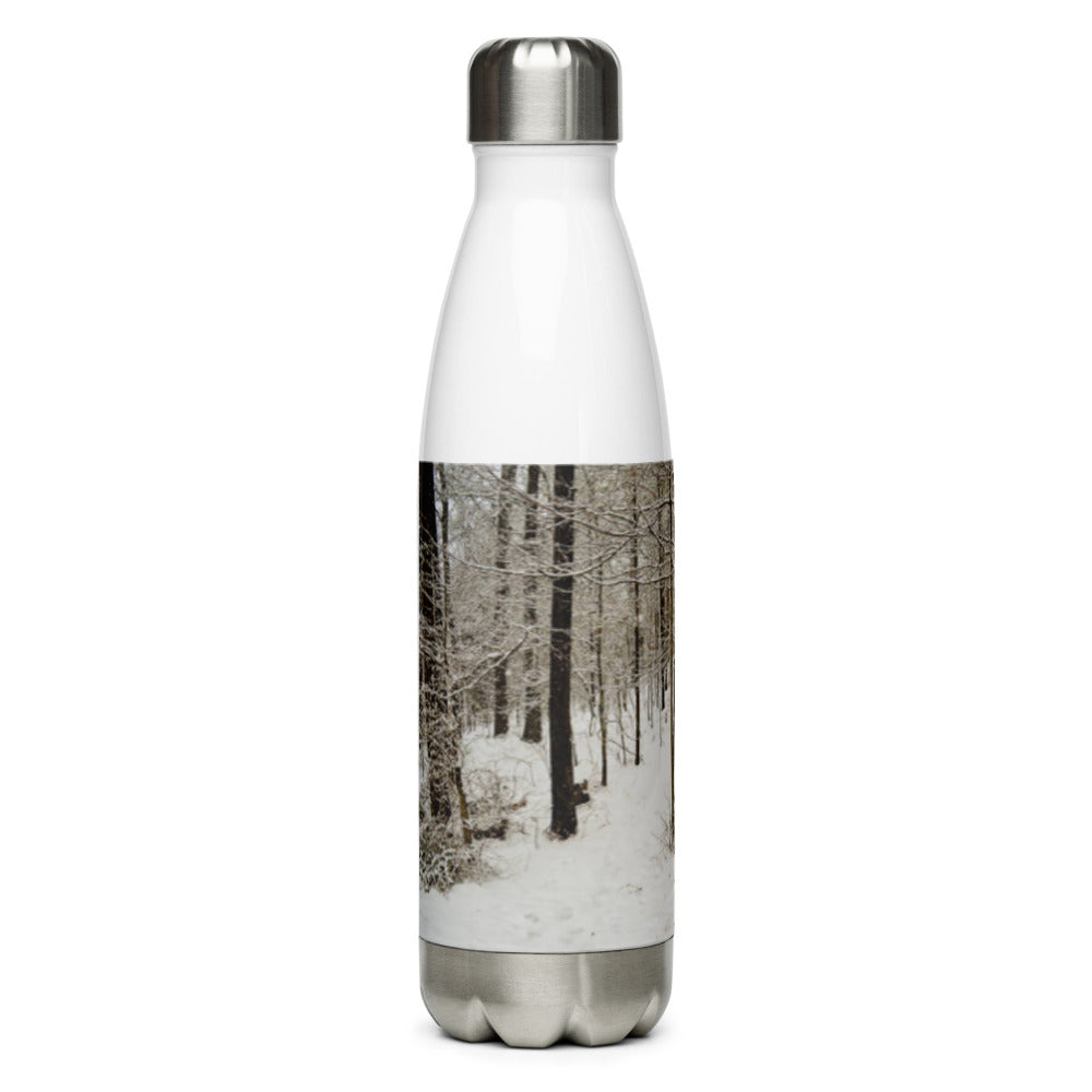 Stainless Steel Water Bottle