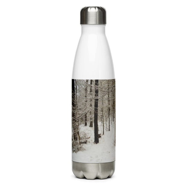 Stainless Steel Water Bottle
